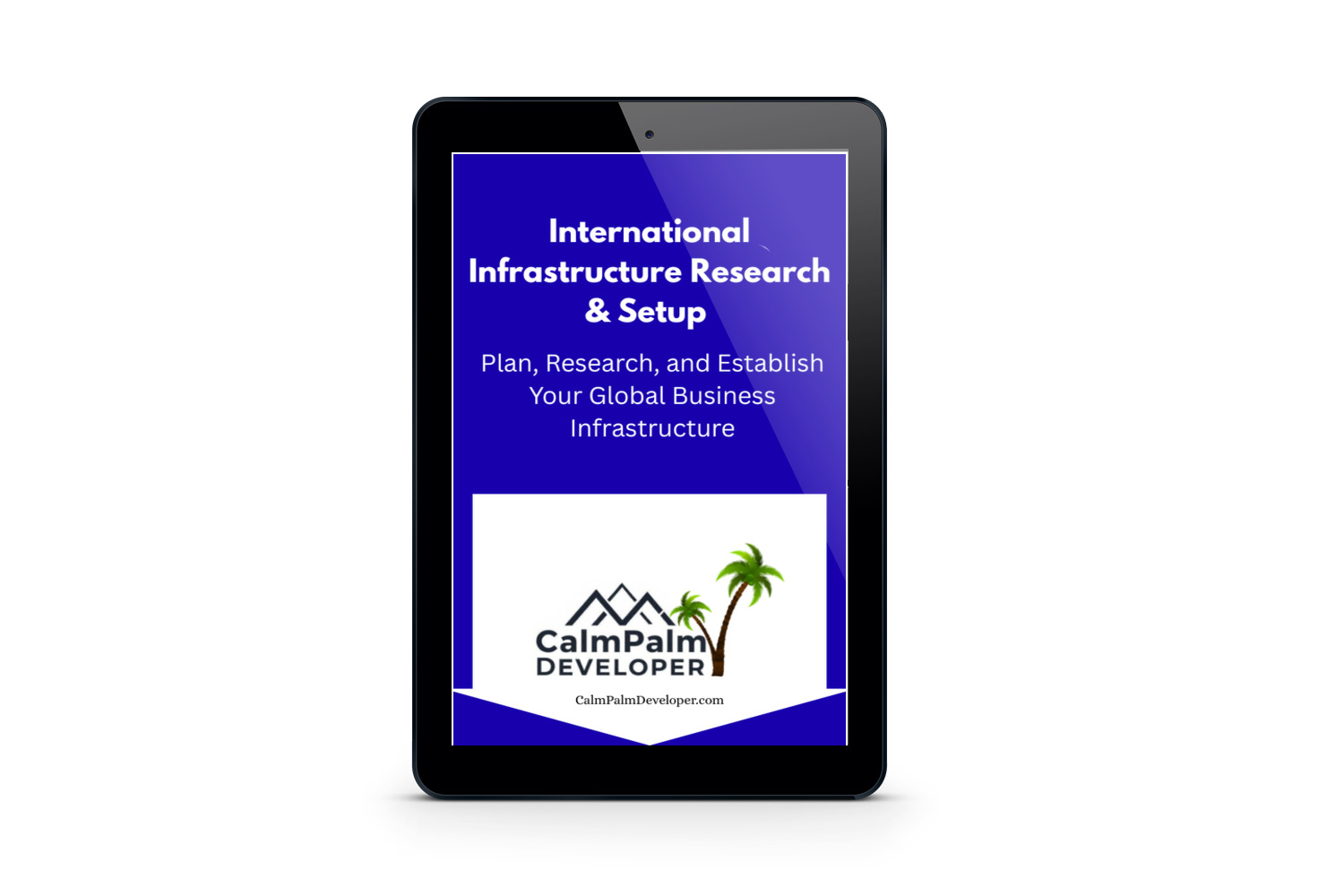 International Infrastructure Setup & Research